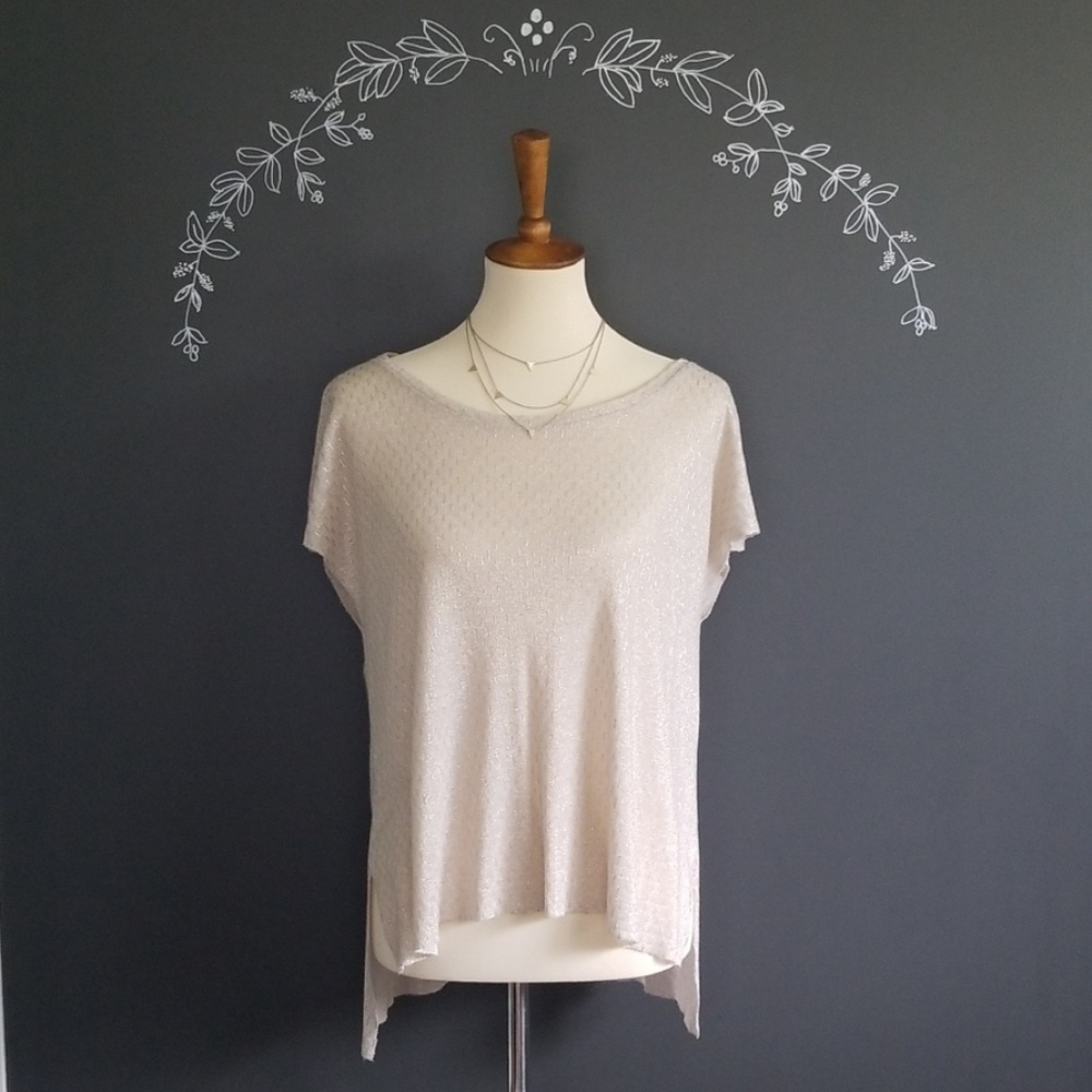 Zara Sparkle Top